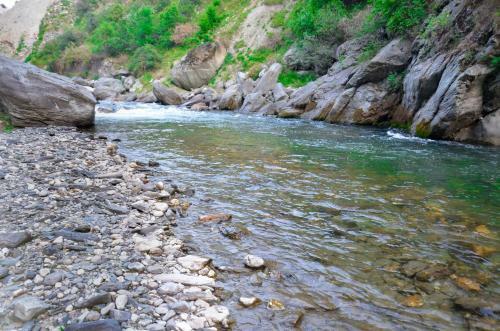 Hotel Mansarovar - Tirthan Valley