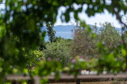 Family Apartment Zadar Diklo
