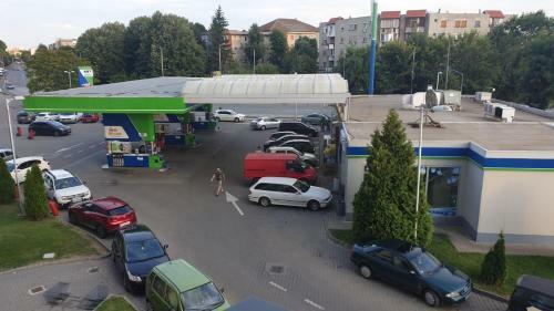 Apartament Radmila