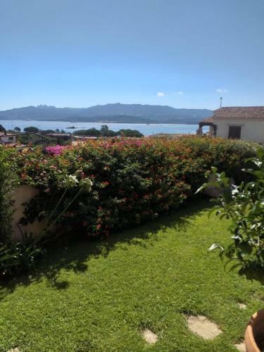 Villa Dolce Vista