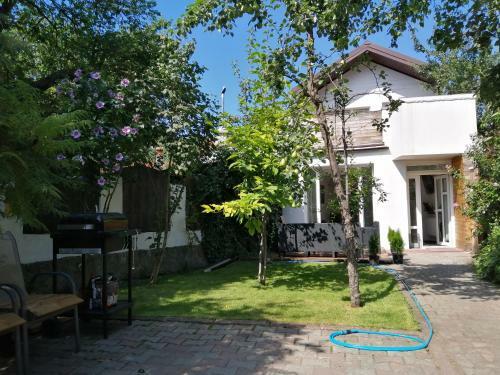 Bed & Breakfast Casa Scheiana
