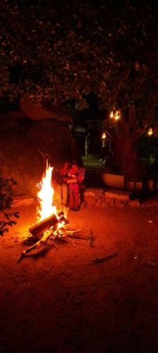 Kilimahewa Host
