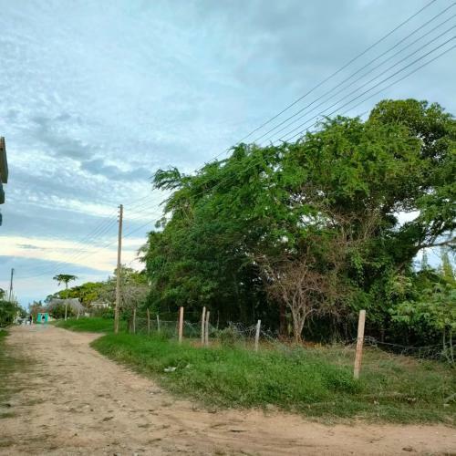 Affordable Classy Mtwapa Studio Apartment 57