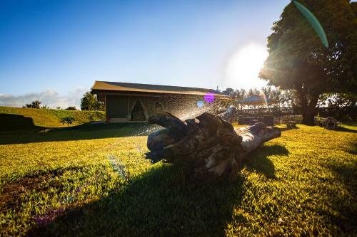 The Kilimanjaro Luxury Tented Camp