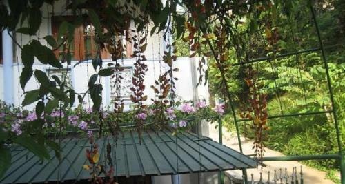 Hostal Kandy Drive Homestay