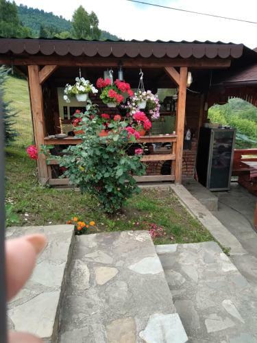 Lodge Complex De Pensiuni Si Casute La Munte