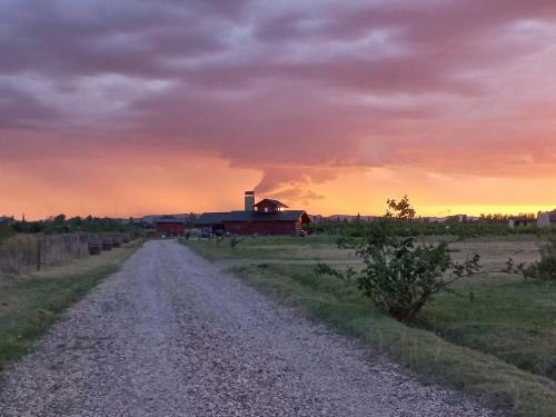 Hostal Martyniuk Lodges Entre Vi�edos