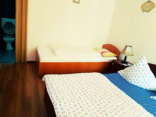 Hostal Pensiunea Vasilescu