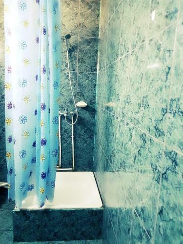 Hostal Pensiunea Vasilescu