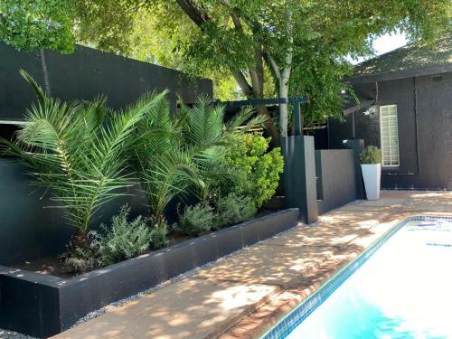 Hostal Royal Tree Guest House