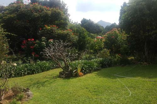 Apartamento Bungalow Cuauhtempa