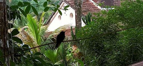 Hostal Casa Dos Artistas