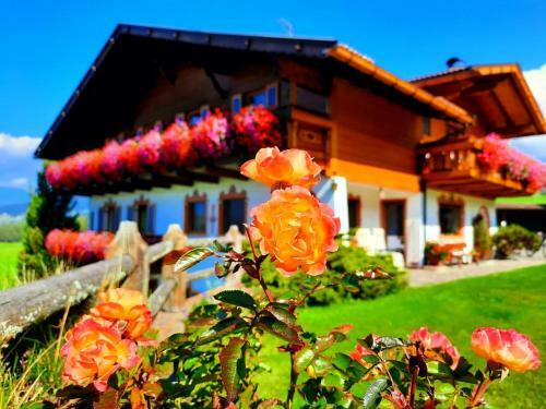Agroturismo Binterhof Alpin Deluxe App