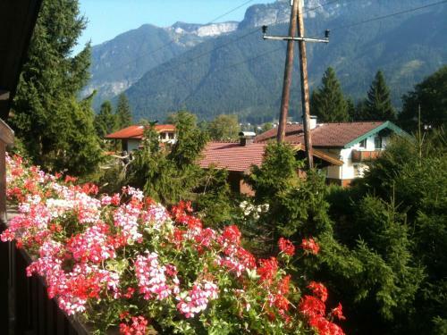 Bed & Breakfast Pension L�rchenhof
