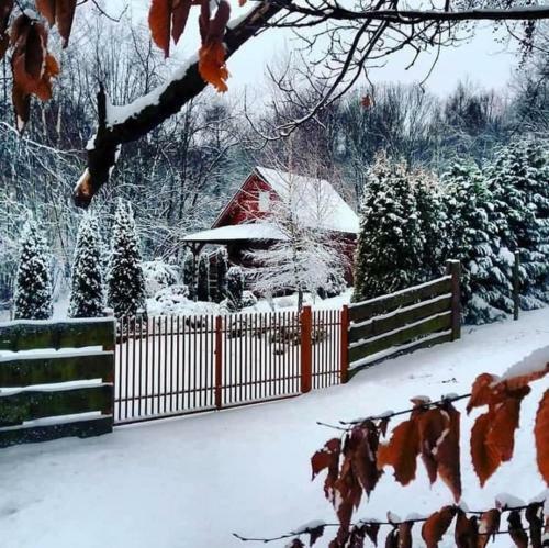 Lodge Bac�wka Na Le?nej