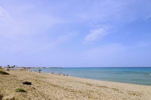 Un Fiore A Pochi Passi Dal Mare