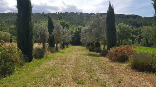 Bed & Breakfast Moulin De Bonfilhon