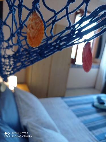 Hostal Short Less Apartment-rooms