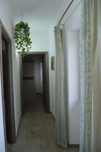 Apartamento Appartamento Vacanza Da Luisa
