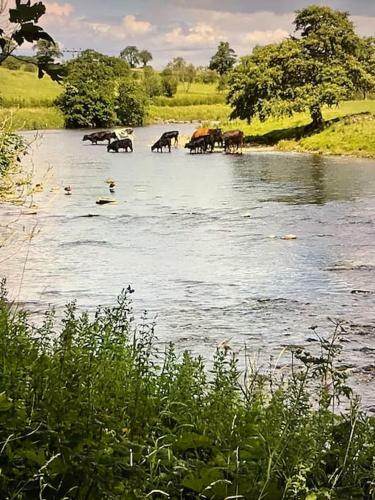 Beautiful Self-catering Cottage, Ribble Valley