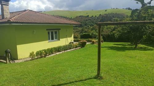 Casina Verde Manzana