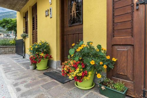 Apartamento Appartamento Albachiara 2