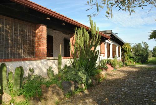 Sweet House
