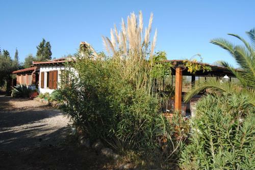 Sweet House