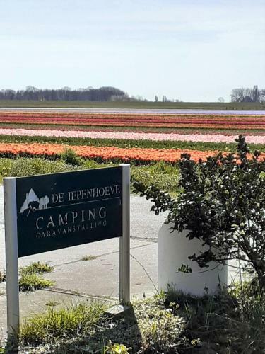 Camping De Iepenhoeve