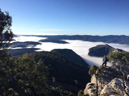 Apartamento Cinca Pirineo En A�nsa