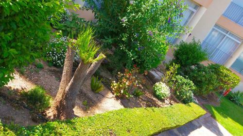 Apartamento Seaview Dream Albir