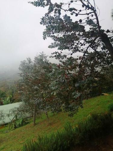 Villa Eucalipto Y Romero , Dapa Alto