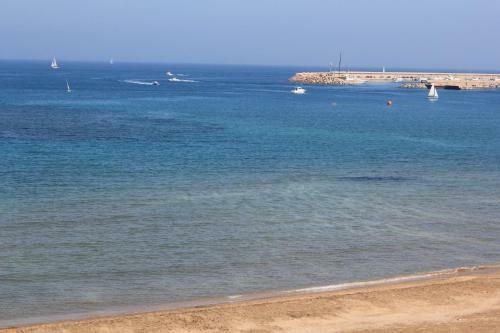 Apartamento Platja Mar 1d