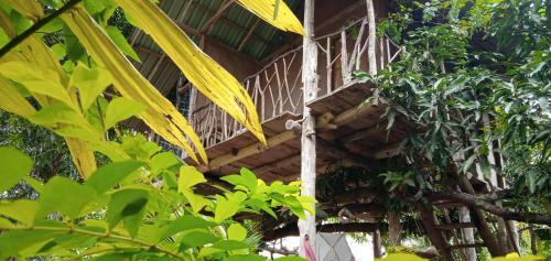Agroturismo Sigiri Panaromic Tree House