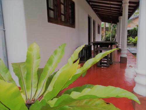Hostal Andra Homes