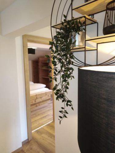 Rima Apartments