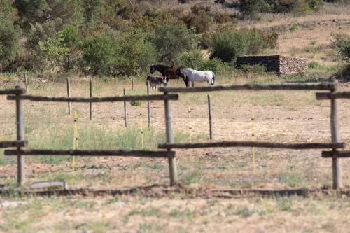 Agroturismo Casa Rural Mol� Roquer