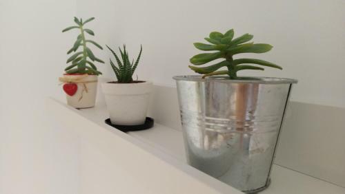 Apartamento Tarifa Cactus
