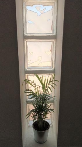 Apartamento Tarifa Cactus