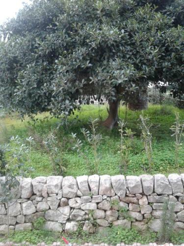 Villa L'oasi Di Athena