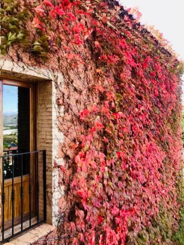 Agroturismo Mol� Fariner Casa Rural