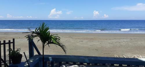 Hotel Bella's Beach Resort Apartment 8