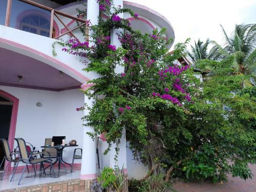 Hostal Burg Ann's Villa
