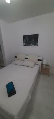 Testemiteanu Apartment