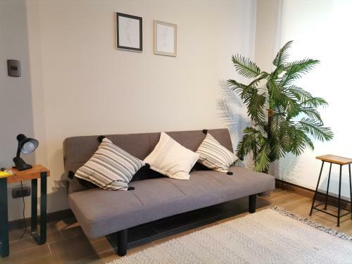 Apartamento Departamento Suite Concepci�n