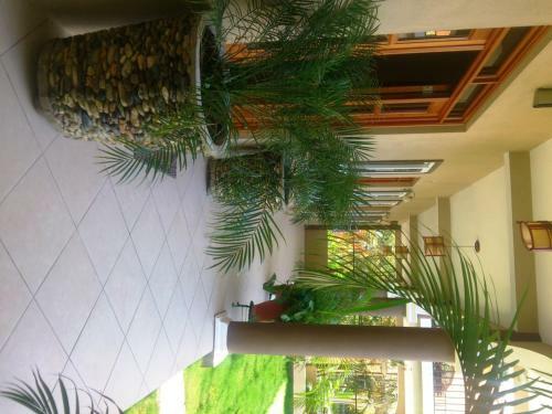 Maximos Petit Hotel