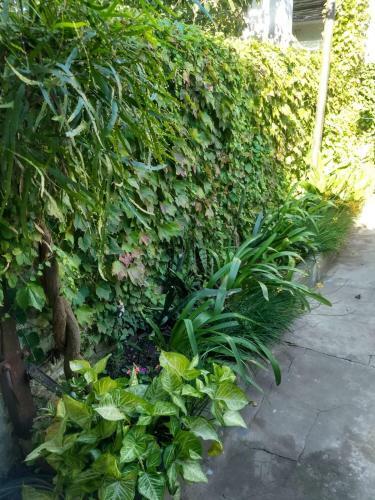 Apartamento Portal Del Sur