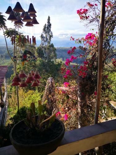 Bed & Breakfast Hostal Runa Huasi