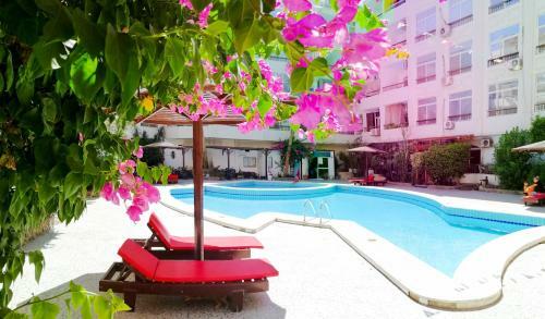 Apartamento Solider Dali