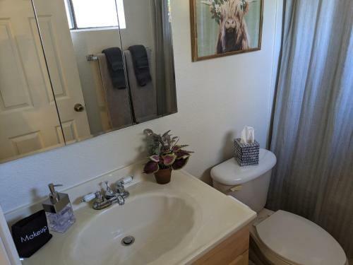 Sweet Apple Abode - Pinetop, Az